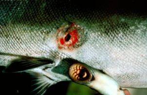 Image hébergée par Casimages.com : votre hébergeur d images simple et gratuit